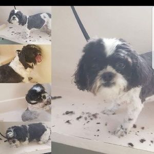 Meet your Posher, Vera